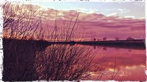 Diverse - images.jpeg